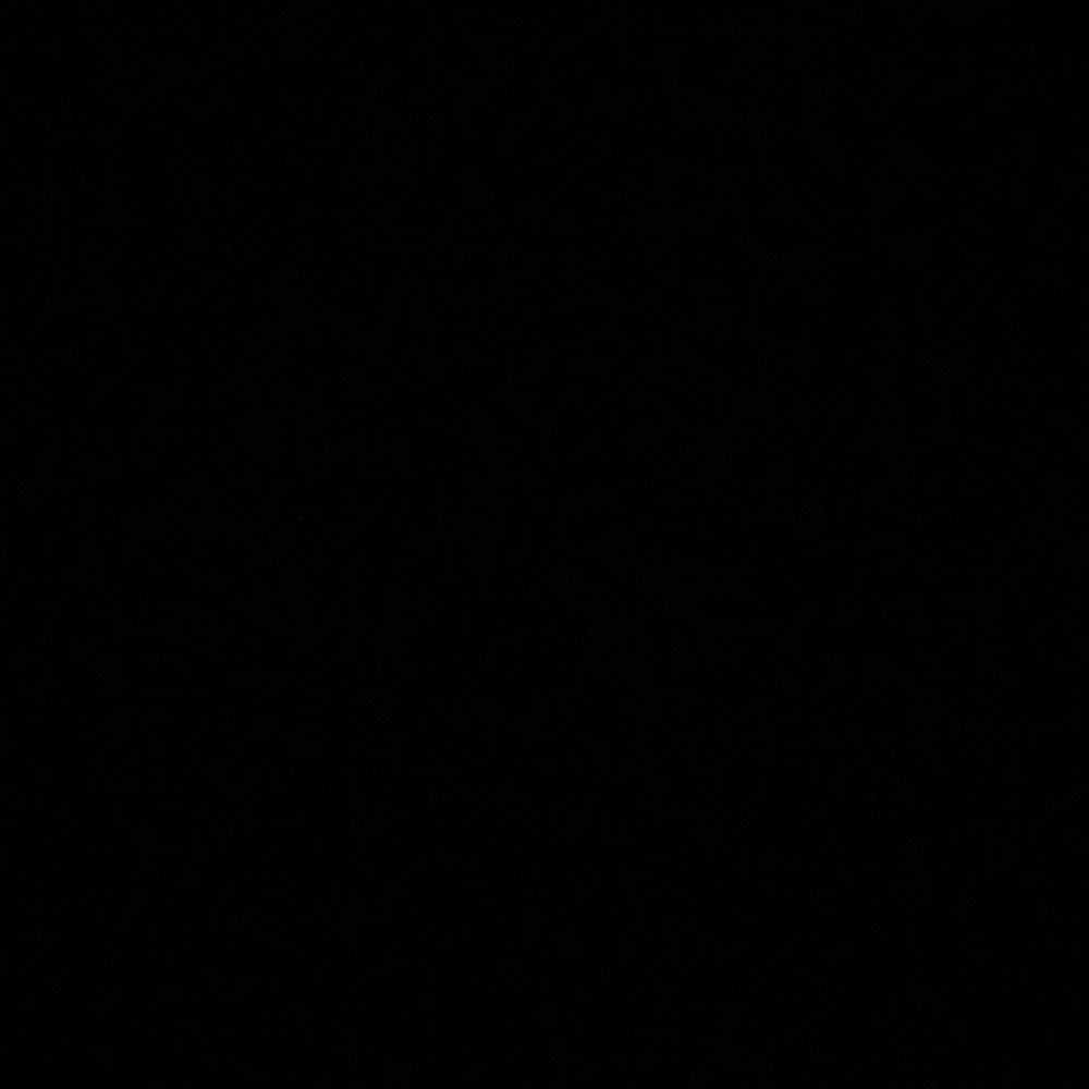 Meet your Posher, Princess